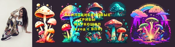 метадон Алексин