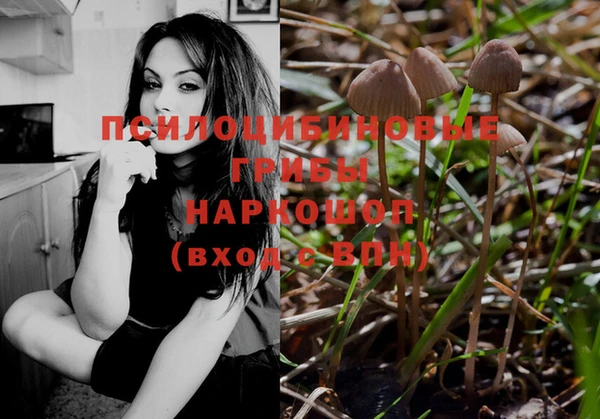 метадон Алексин
