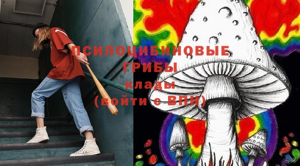 кокаин Алексеевка